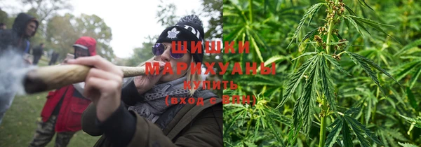 сатива Балахна