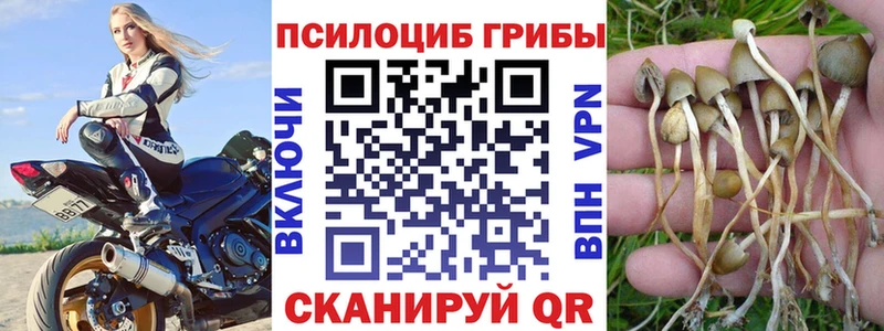 площадка какой сайт Бокситогорск Псилоцибиновые грибы Psilocybe где купить наркоту